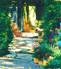 Bee Cave & Westlake Austin Texas Landscaping
